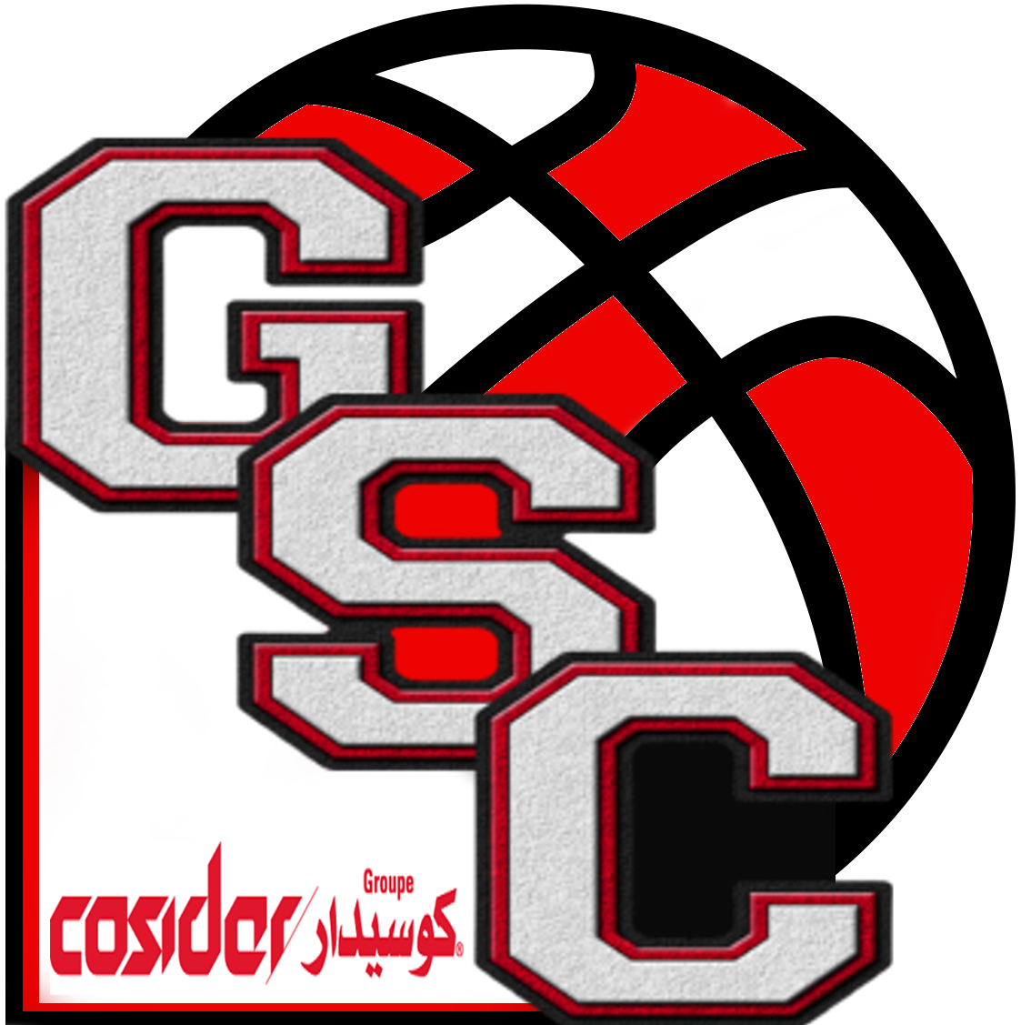 Team Cosidar Logo